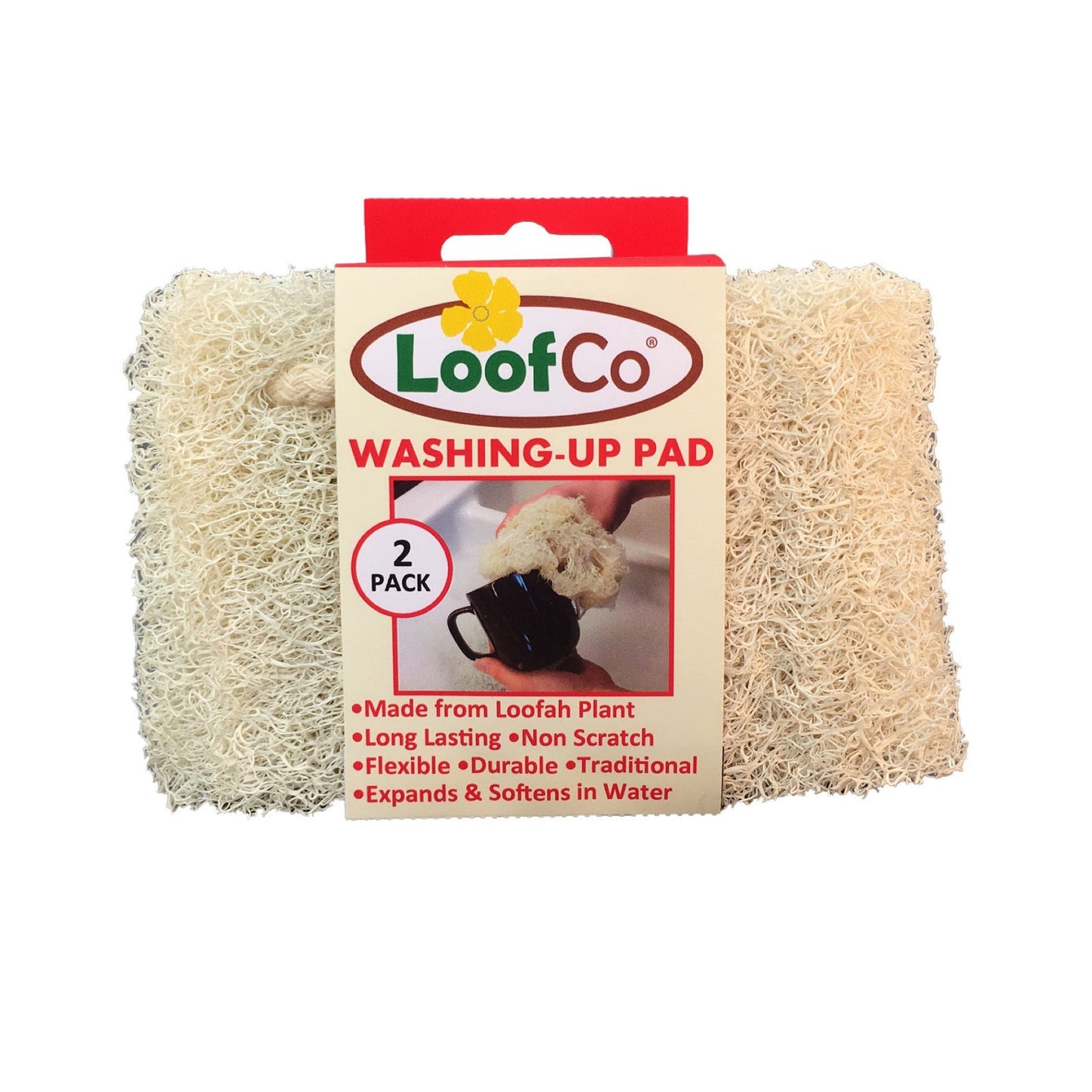 Afwas Spons Loofco - 2st.